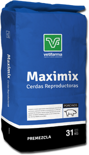 Maximix credas reproductoras