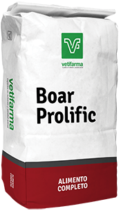 Boar prolific